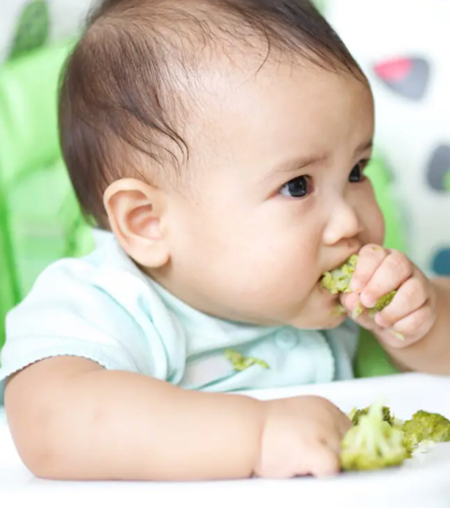 baby-finger-food